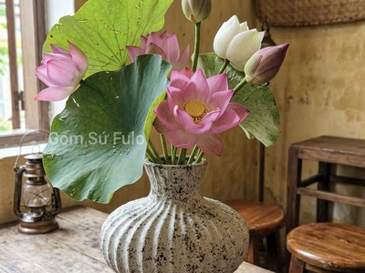 Những Mẫu Bình Cắm Hoa Sen Đẹp Tại Gốm Sứ FULO TP.HCM 0