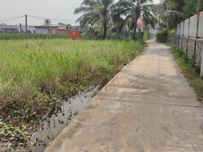 Bán gấp lô đất thổ lúa làm nhà vườn giá 2,2 tỷ 3
