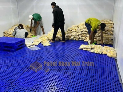  Cung Cấp Pallet Nhựa Sài Gòn Giá Rẻ, Bền Đẹp   Giao Hỏa Tốc   4