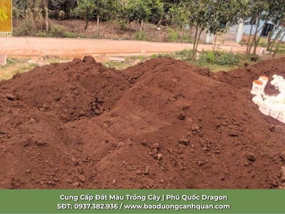 Cung cấp đất đỏ bzan trồng cây chất lượng cao 1
