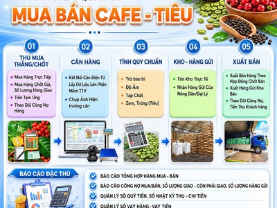 Phần mềm quản lý thu mua cà phê hồ tiêu 0