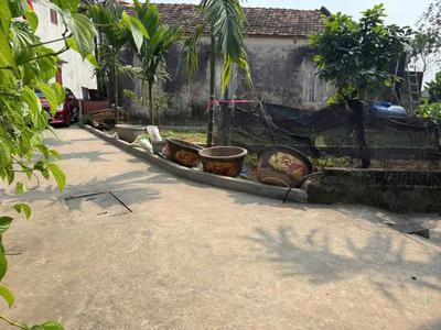 Bán đất đẹp đan kim liên nghĩa, văn giang, hưng yên 2