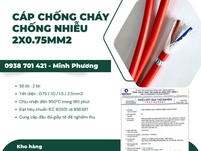Cáp chống cháy chống nhiễu 2x0.75mm Lựa chọn an toàn cho hệ thống PCCC Huế 1