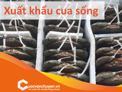 Thủ Tục Xuất Khẩu Cua Sống , Cua Cà Mau 0