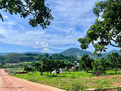 Bán Đất Ven Đà Lạt 322m Ngang 12m Thổ Cư 259m , Hạ Tầng Hoàn Thiện, Sẵn Sàng Xây Dựng 1