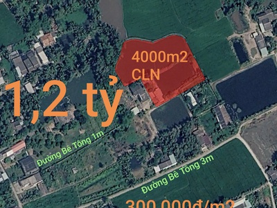 Bán lô đất cây hàng năm khác giá rẻ 1,2 tỷ 0