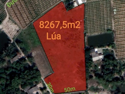 Bán lô đất lúa làm dự án dân cư giá 6,5 tỷ 0