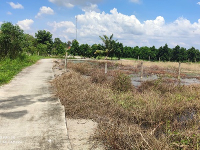 Bán lô đất lúa làm dự án dân cư giá 6,5 tỷ 4