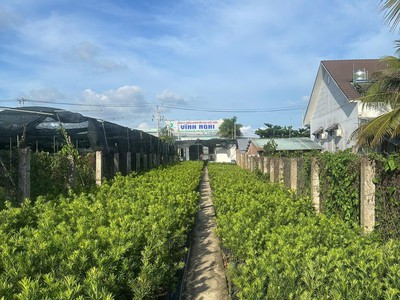 Bán gấp 631m mặt tiền quốc lộ 57 vị trí đẹp, giá chỉ 2,8 tỷ 1