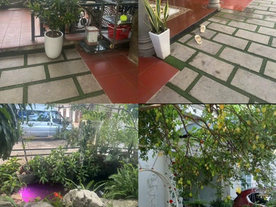Cho thuê hoặc bán nhà vườn 5pn tại phú mỹ, brvt không gian rộng, ở ngay 2