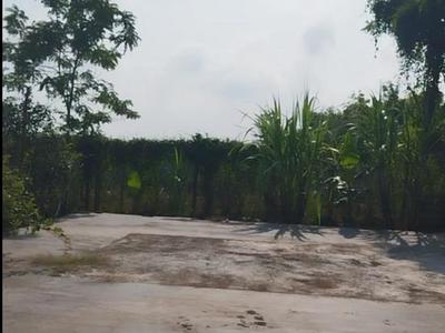 Bán đất thổ cư 864m2 sổ hồng nguyễn an ninh, tân quy đông, sa đéc. giá 2.5 tỷ. 4