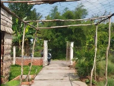 Bán đất thổ cư 864m2 sổ hồng nguyễn an ninh, tân quy đông, sa đéc. giá 2.5 tỷ. 3