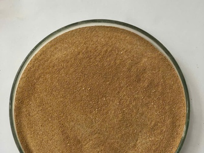 BACILLUS CLAUSII toàn diện các vấn đề về tiêu hóa 0