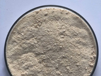 Enzyme đơn dòng Amylase phân giải tinh bột 0