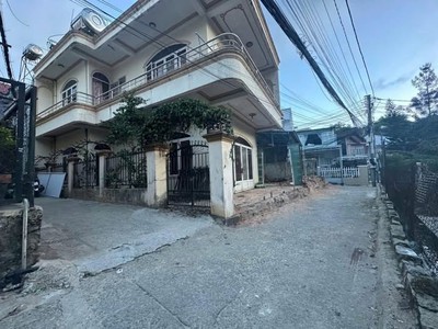 Bán 2 lô mai hắc đế tt đà lạt 0