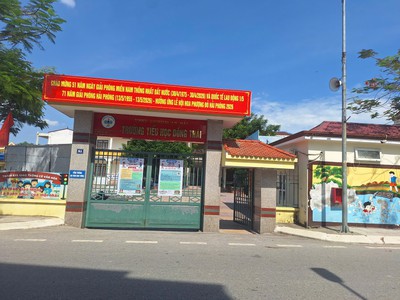 Bán 100m2 đất phố Bạch Mai, Đồng Thái, An Dương, Hải Phòng 3
