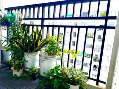 Cho thuê Chung Cư 4S LINH ĐÔNG, Full Nội Thất    2PN, 2WC, ở Được Từ đầu T7 - Giá 8.5tr 3