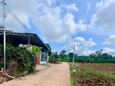 Bán Đất Ven Đà Lạt 466m  Thổ Cư 100m    View Thoáng, Thế Đất Đẹp, Giá Chỉ 890 Triệu 1