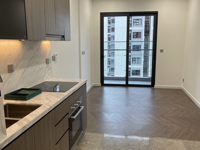 Cho thuê căn hộ lumiere evergreen, vinhomes smart city, tây mỗ, hà nội 2