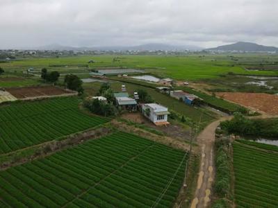 Cần bán 6100m2 đất quy hoạch full thổ cư tại liên nghĩa, đức trọng 1