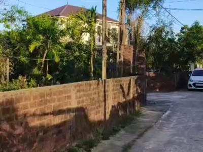Cơ hội đầu tư đất nền tt cẩm xuyên mặt tiền 8m đường 10m chỉ 780 triệu 0