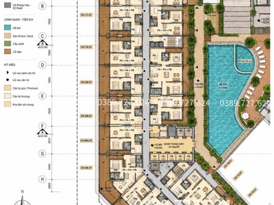 Căn hộ sân vườn Ecopalace Buôn Ma Thuột, siêu phẩm không dành cho số đông 6