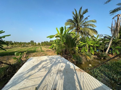 Bán 2 Sổ Đất Tân An, Long An Cũ 4