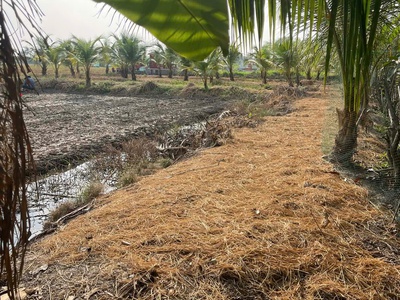 Bán 2 Sổ Đất Tân An, Long An Cũ 1