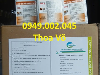 Saccharomyces Cerevisiae 2x10 ⁰ CFU/G Men Tiêu Hóa Đậm Đặc, Trị Phân Trắng Hiệu Quả Cho Tôm Cá 0