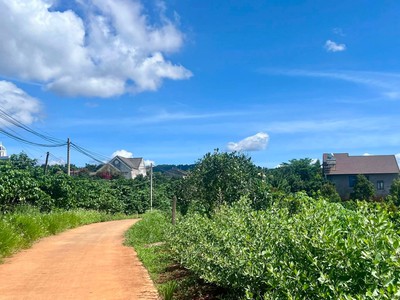 Bán Đất Ven Đà Lạt 872m  Thổ Cư 100m    View Đồi Núi Đẹp, Giá Chỉ 2,9 Triệu/m 1