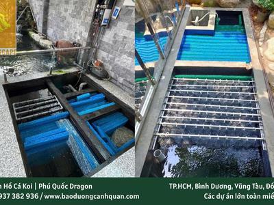 Hồ cá Koi bị rêu, nước đục Đừng để cá bị bệnh 0