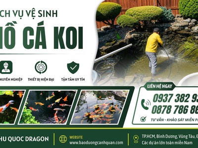 Hồ cá Koi bị rêu, nước đục Đừng để cá bị bệnh 1