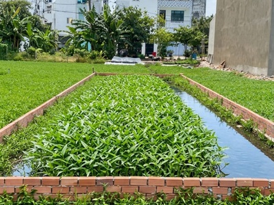 K2580   đất vuông vức 100m2 hẻm xe hơi sát chợ thạnh xuân, giá đầu tư cực rẻ 2.x tỷ 2