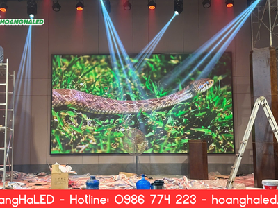 Lắp Đặt Màn Hình LED P2.5 3840Hz Tại Hội Trường Lớn - Nhà Máy Thép Việt Nam Vinasteel 4