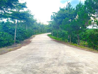 2 sào đất 2 mặt hẻm rộng, gần trung tâm ninh gia, đức trọng cũ, lâm đồng 2
