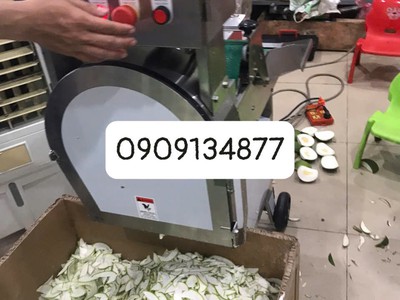 Máy thái lát đậu que, đậu bắp sấy khô, máy cắt khúc đậu que, máy cắt rau lá băng tải SH125 0