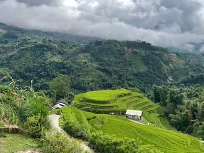 Mảnh Đất 1.235m Tại Bản Tả Van View Ruộng Bậc Thang Đẹp Mê Mẩn ✨ 2