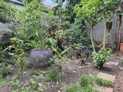 Bán đất - mặt tiền hẻm nhựa 10m lũy bán bích, gần âu cơ, 10x15m, full thổ, sổ a4, 15,2 tỷ. 2