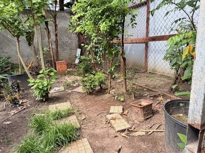 Bán đất - mặt tiền hẻm nhựa 10m lũy bán bích, gần âu cơ, 10x15m, full thổ, sổ a4, 15,2 tỷ. 3