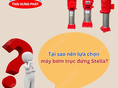Vì sao máy bơm trục đứng Stella được nhiều công trình lựa chọn 0