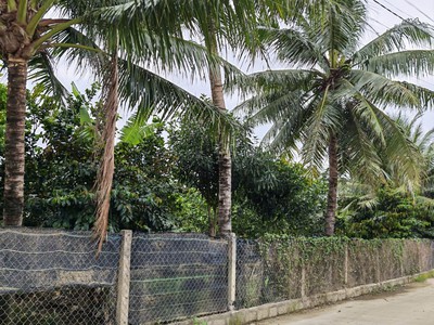Bán đất thôn Xuân Lạc, Vĩnh Ngọc phường Tây Nha Trang, ngang 15m có thể tách thửa 3 lô 1