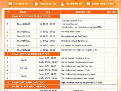 Khóa học massage xoa bóp bấm huyệt tại TP.HCM 0