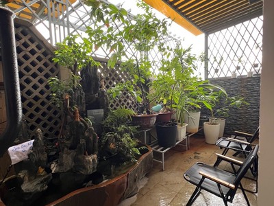Bán căn hộ Penhouse The Art KDC Gia Hòa, Q.9. Giá 6,5 tỷ 106m2, 2PN, 2WC, nội thất đẹp 4