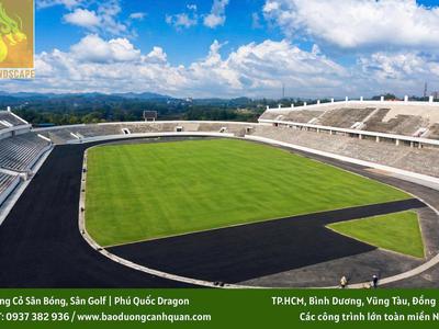 Trồng Cỏ Sân Bóng, Sân Golf Uy Tín Tại Đồng Nai TP.HCM 0
