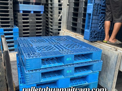 Pallet Nhựa Xuất Khẩu Sóc Trăng Giá Rẻ Chất Lượng Xịn, Giá Mềm Hết Nấc 8