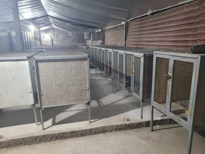 Cho Thuê mặt bằng nuôi Chồn Hương 0