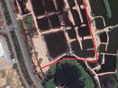 Bán quỹ đất ven biển LỘC AN   ĐẤT ĐỎ, BÀ RỊA   VŨNG TÀU   80.349m 4