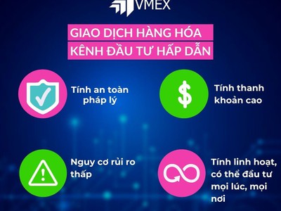 Sàn giao dịch hàng hóa uy tín tại Việt Nam 0
