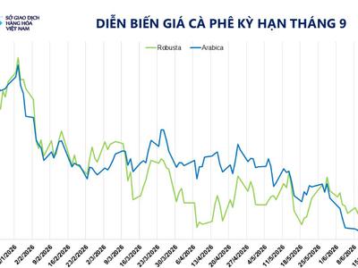 Thời tiết Brazil hỗ trợ cà phê Arabica, nguồn cung Việt Nam gây sức ép lên Robusta 0