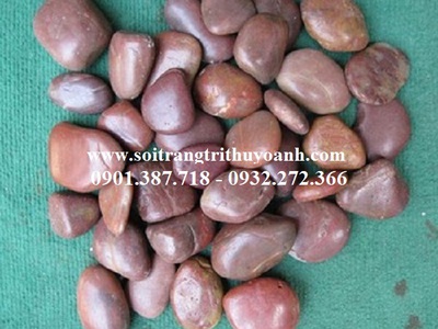 Sỏi bóng Thùy Oanh 8